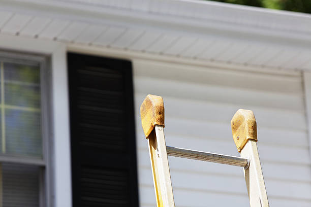 Best Siding Removal and Disposal  in Osceola, IA