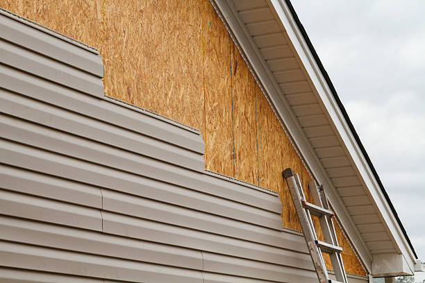 Best Vinyl Siding Installation  in Osceola, IA